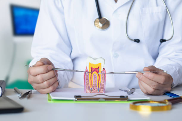 Best Broken or Cracked Tooth Emergency Dentist in Clinton, TN